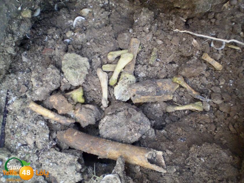 maqbara mamlokeya (6).jpg